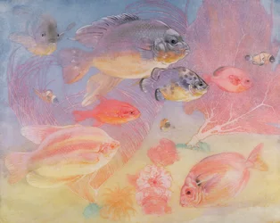 Peces tropicales